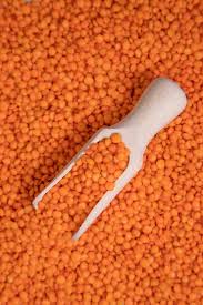Lentils